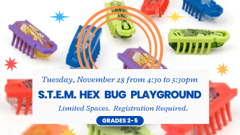 STEM Hex Bug Playground