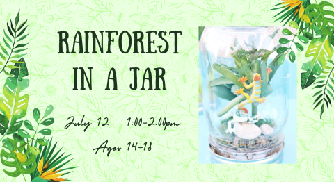 Rainforest in a Jar