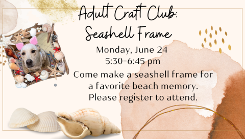 seashell frame