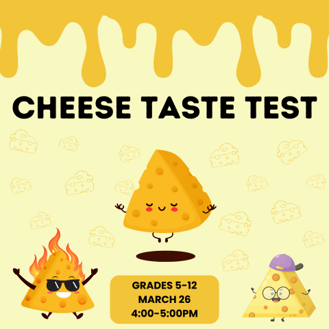 Cheese Taste Test