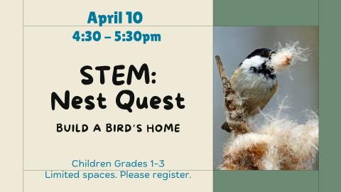 STEM Nest Quest Build a Bird's Home