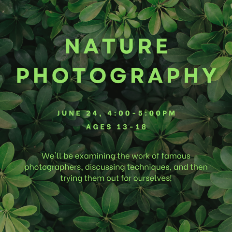 Nature Photography
