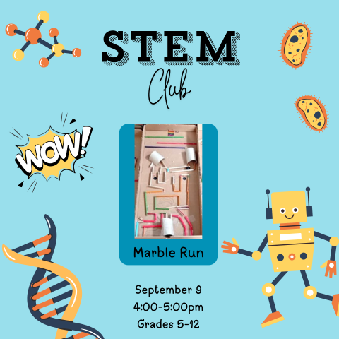 STEM Club Marble Run