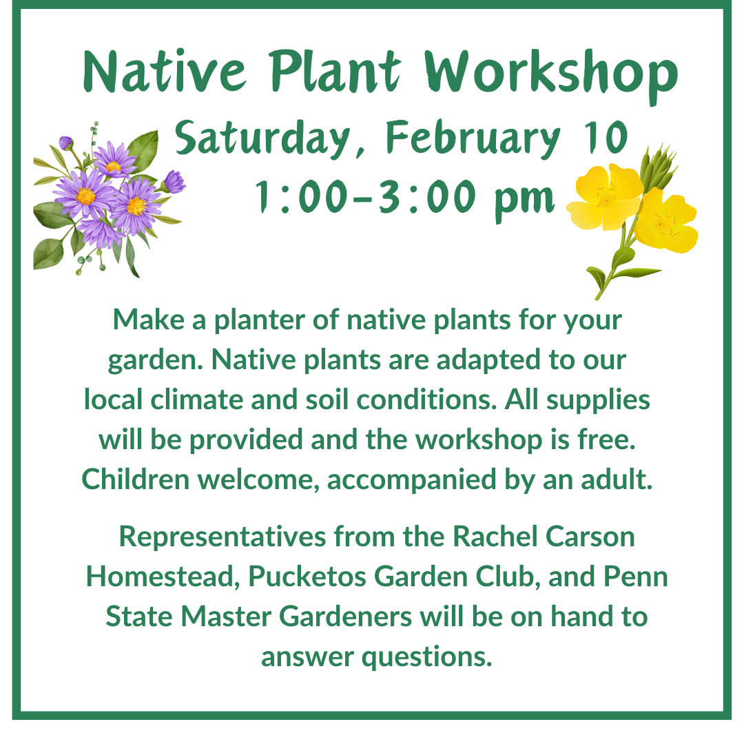 native plant workshop