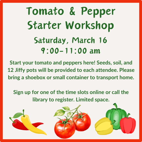 Tomato Workshop