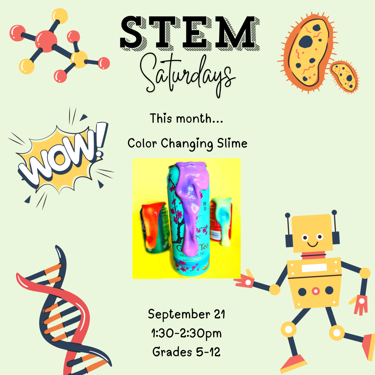 Stem Saturdays