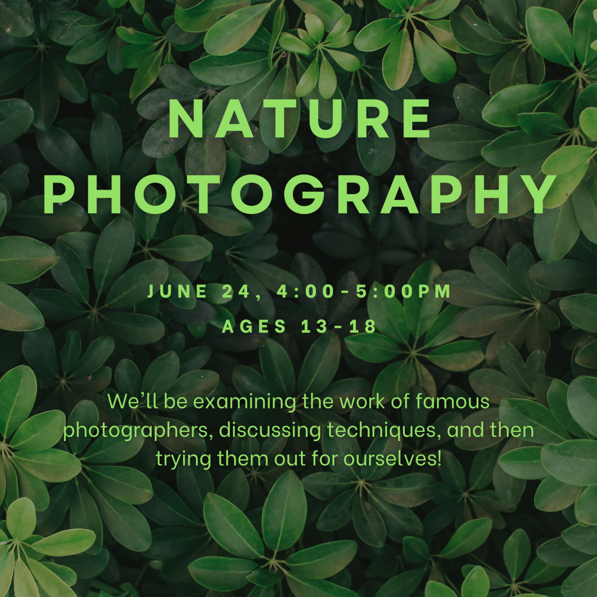 Nature Photography